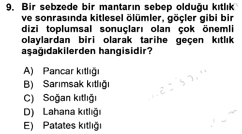 Tüketim Sosyolojisi 2024-2025 Dönem Sonu Sınavı - 9. soru