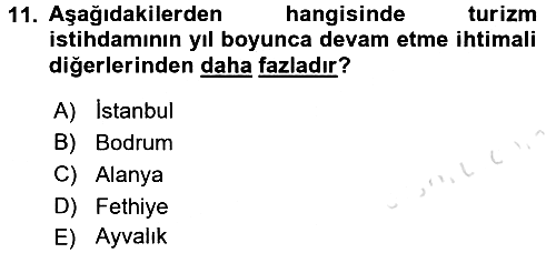 Turizm Sosyolojisi 2018-2019 3 Ders Sınavı - 11. soru