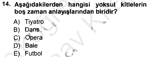 Turizm Sosyolojisi 2012-2013 Ara Sınav - 14. soru