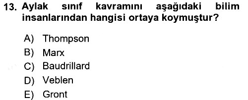 Turizm Sosyolojisi 2018-2019 Ara Sınav - 13. soru
