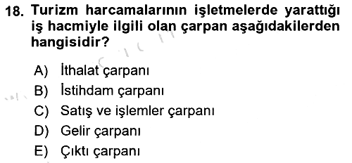 Turizm Sosyolojisi 2021-2022 Ara Sınav - 18. soru