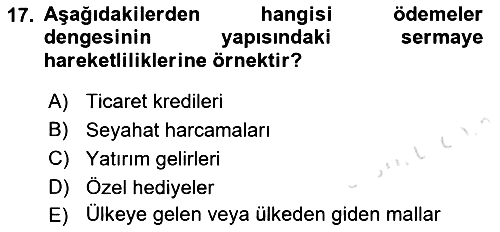 Turizm Sosyolojisi 2022-2023 Ara Sınav - 17. soru