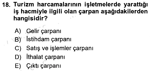 Turizm Sosyolojisi 2022-2023 Ara Sınav - 18. soru