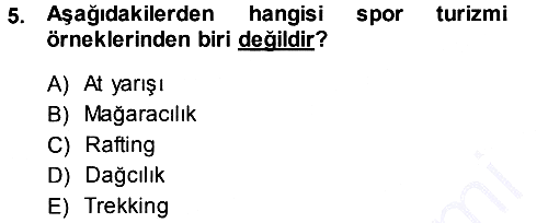 Turizm Sosyolojisi 2013-2014 Dönem Sonu Sınavı - 5. soru