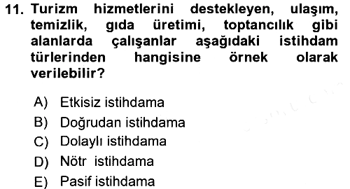 Turizm Sosyolojisi 2016-2017 Dönem Sonu Sınavı - 11. soru