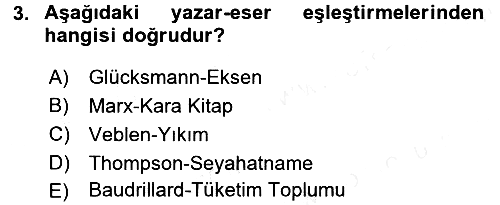 Turizm Sosyolojisi 2017-2018 Dönem Sonu Sınavı - 3. soru