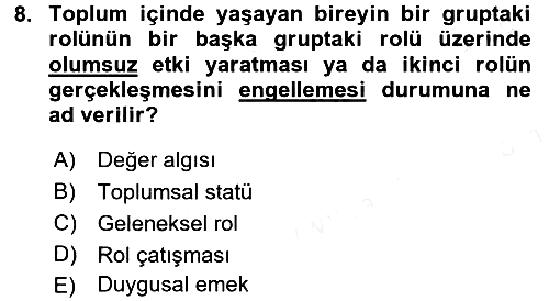 Turizm Sosyolojisi 2018-2019 Dönem Sonu Sınavı - 8. soru