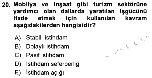 Turizm Sosyolojisi 2018-2019 Yaz Okulu Sınavı - 20. soru