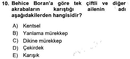 Türk Sosyologları 2015-2016 Dönem Sonu Sınavı - 10. soru