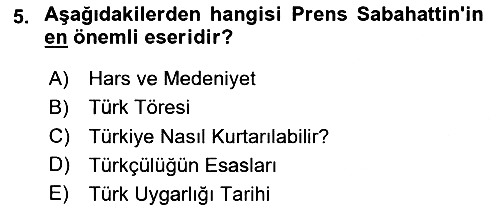 Türk Sosyologları 2020-2021 Yaz Okulu Sınavı - 5. soru