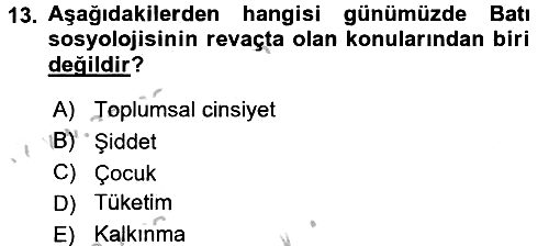Türkiye´de Sosyoloji 2016-2017 3 Ders Sınavı - 13. soru