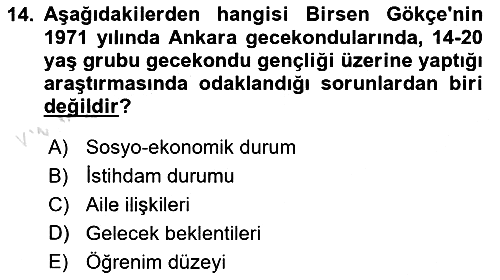 Türkiye´de Sosyoloji 2024-2025 Yaz Okulu Sınavı - 14. soru
