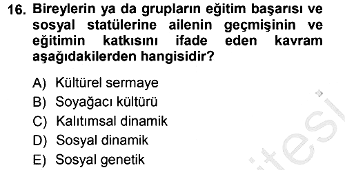 Türkiye´nin Toplumsal Yapısı 2012-2013 Ara Sınav - 16. soru