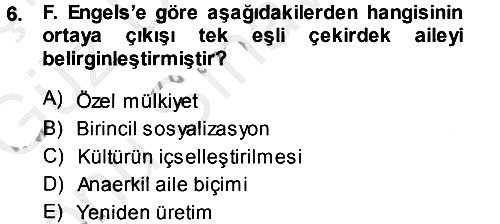 Türkiye´nin Toplumsal Yapısı 2014-2015 Dönem Sonu Sınavı - 6. soru