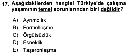 Türkiye´nin Toplumsal Yapısı 2015-2016 Dönem Sonu Sınavı - 17. soru