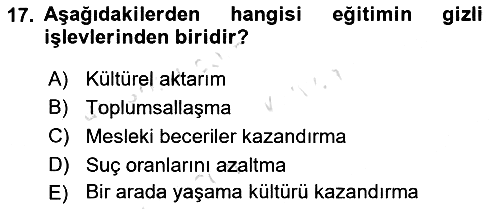 Türkiye´nin Toplumsal Yapısı 2021-2022 Yaz Okulu Sınavı - 17. soru
