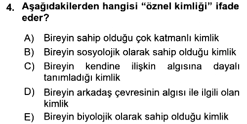 Yeni Toplumsal Hareketler 2016-2017 3 Ders Sınavı - 4. soru