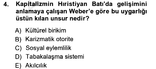 Yeni Toplumsal Hareketler 2012-2013 Ara Sınav - 4. soru