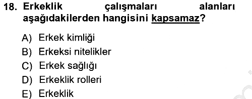 Yeni Toplumsal Hareketler 2012-2013 Ara Sınav - 18. soru