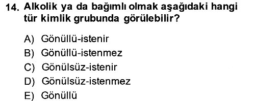 Yeni Toplumsal Hareketler 2013-2014 Ara Sınav - 14. soru
