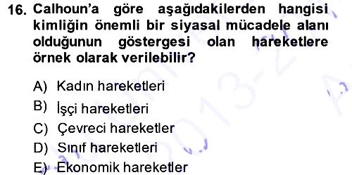 Yeni Toplumsal Hareketler 2013-2014 Ara Sınav - 16. soru
