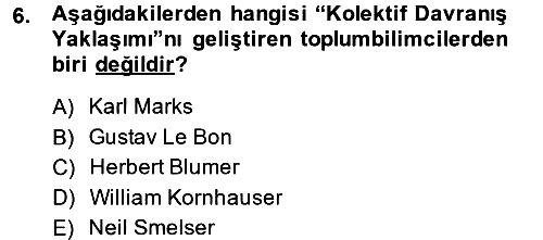 Yeni Toplumsal Hareketler 2014-2015 Ara Sınav - 6. soru