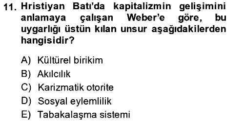 Yeni Toplumsal Hareketler 2014-2015 Ara Sınav - 11. soru