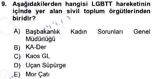 Yeni Toplumsal Hareketler 2015-2016 Ara Sınav - 9. soru