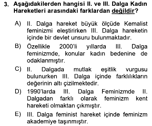 Yeni Toplumsal Hareketler 2016-2017 Ara Sınav - 3. soru