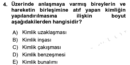 Yeni Toplumsal Hareketler 2016-2017 Ara Sınav - 4. soru