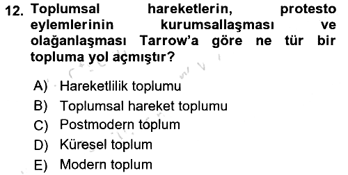 Yeni Toplumsal Hareketler 2016-2017 Ara Sınav - 12. soru