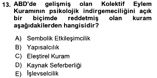Yeni Toplumsal Hareketler 2016-2017 Ara Sınav - 13. soru