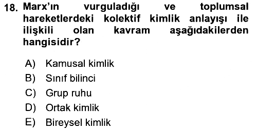Yeni Toplumsal Hareketler 2016-2017 Ara Sınav - 18. soru