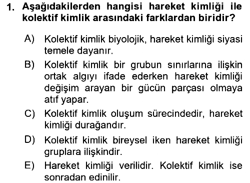 Yeni Toplumsal Hareketler 2017-2018 Ara Sınav - 1. soru