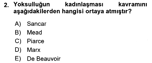 Yeni Toplumsal Hareketler 2018-2019 Ara Sınav - 2. soru