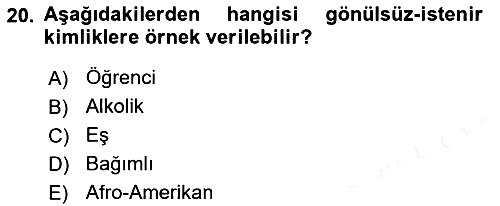 Yeni Toplumsal Hareketler 2018-2019 Ara Sınav - 20. soru