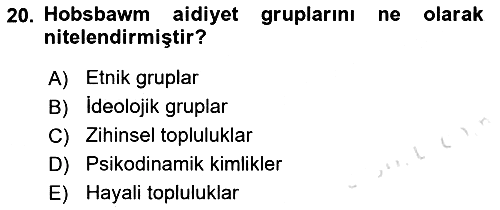 Yeni Toplumsal Hareketler 2019-2020 Ara Sınav - 20. soru