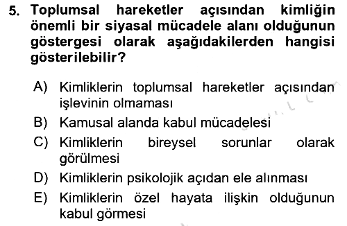 Yeni Toplumsal Hareketler 2021-2022 Ara Sınav - 5. soru