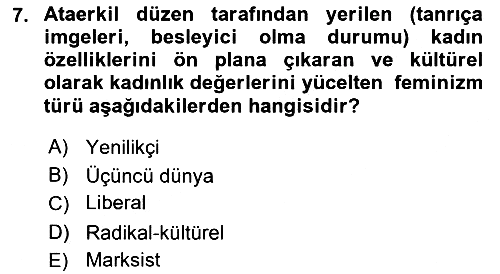 Yeni Toplumsal Hareketler 2021-2022 Ara Sınav - 7. soru