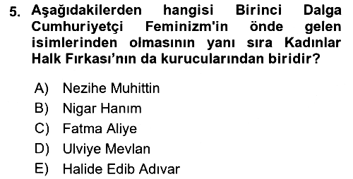 Yeni Toplumsal Hareketler 2022-2023 Ara Sınav - 5. soru