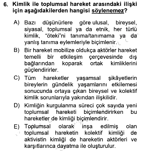 Yeni Toplumsal Hareketler 2022-2023 Ara Sınav - 6. soru