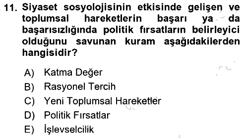 Yeni Toplumsal Hareketler 2023-2024 Ara Sınav - 11. soru