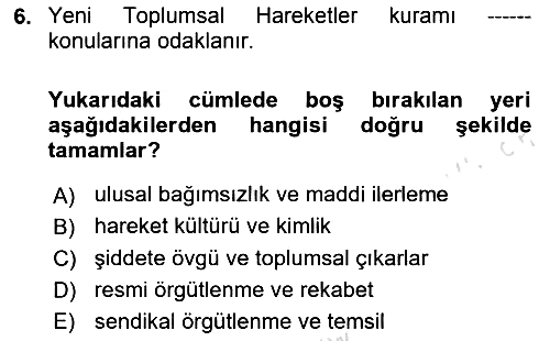 Yeni Toplumsal Hareketler 2024-2025 Ara Sınav - 6. soru