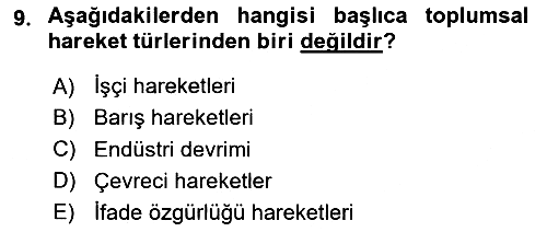 Yeni Toplumsal Hareketler 2024-2025 Ara Sınav - 9. soru