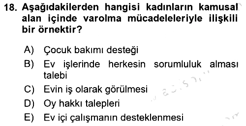 Yeni Toplumsal Hareketler 2024-2025 Ara Sınav - 18. soru