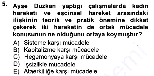 Yeni Toplumsal Hareketler 2012-2013 Dönem Sonu Sınavı - 5. soru