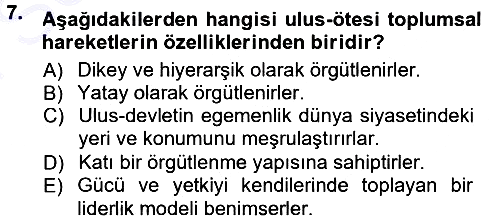 Yeni Toplumsal Hareketler 2012-2013 Dönem Sonu Sınavı - 7. soru