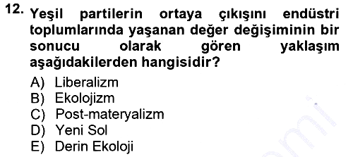Yeni Toplumsal Hareketler 2012-2013 Dönem Sonu Sınavı - 12. soru