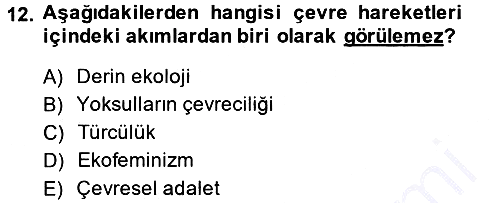 Yeni Toplumsal Hareketler 2013-2014 Dönem Sonu Sınavı - 12. soru
