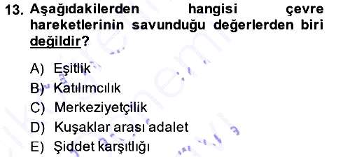 Yeni Toplumsal Hareketler 2013-2014 Dönem Sonu Sınavı - 13. soru